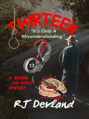 cover image of Thirteen